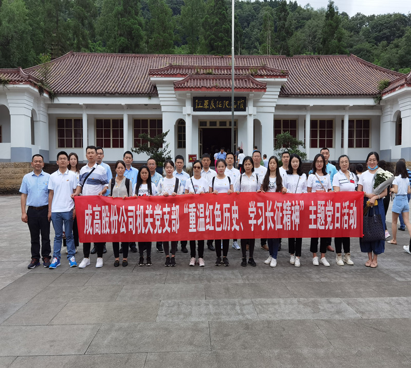 成高股份公司機(jī)關(guān)黨支部組織開(kāi)展慶祝建黨99周年主題黨日活動(dòng)_副本.jpg