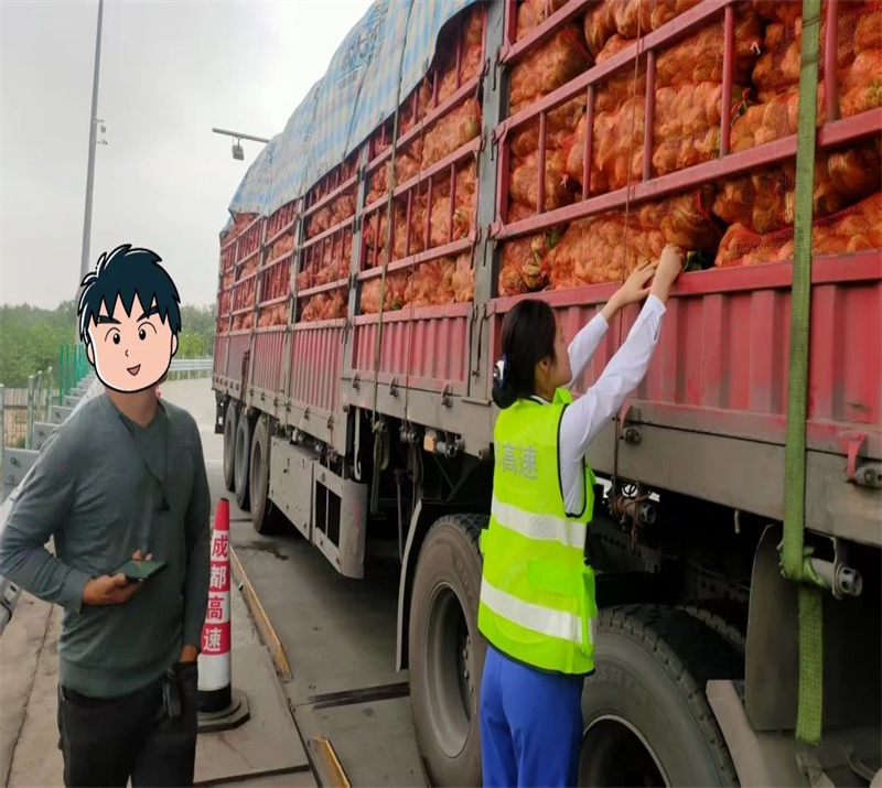 微信圖片_2025-06-26_152930_565.jpg